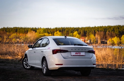 Ford or Škoda: which is better to choose, and which car is cheaper to maintain Ford or Škoda: which is better to choose, and which car is cheaper to maintain